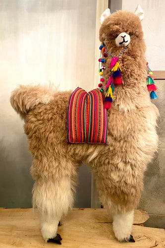 Llama I