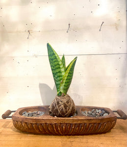 3 Wooden Boat Mudball Tray by GracieJames Co.